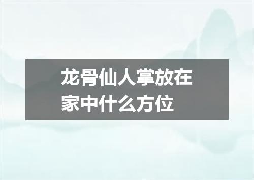 龙骨仙人掌放在家中什么方位