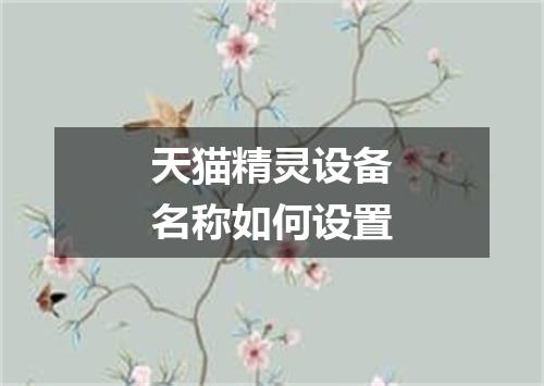 天猫精灵设备名称如何设置