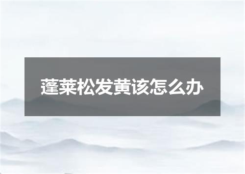 蓬莱松发黄该怎么办