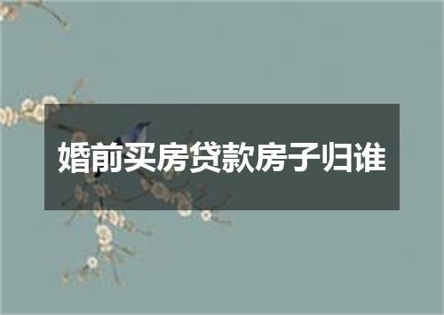 婚前买房贷款房子归谁