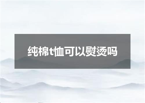纯棉t恤可以熨烫吗
