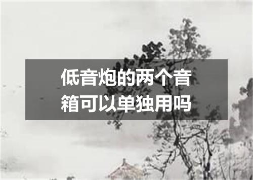 低音炮的两个音箱可以单独用吗