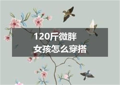 120斤微胖女孩怎么穿搭
