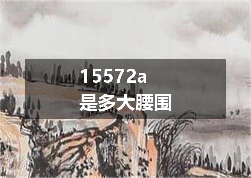 15572a是多大腰围