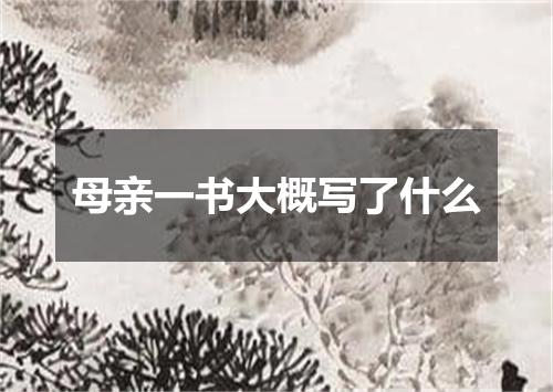 母亲一书大概写了什么