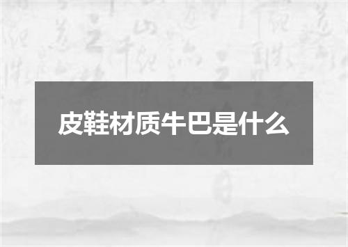 皮鞋材质牛巴是什么