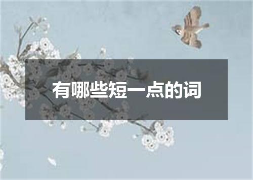 有哪些短一点的词