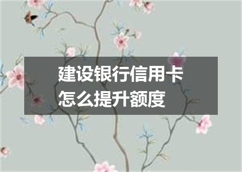 建设银行信用卡怎么提升额度