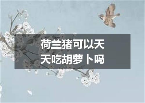 荷兰猪可以天天吃胡萝卜吗