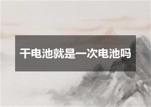 干电池就是一次电池吗