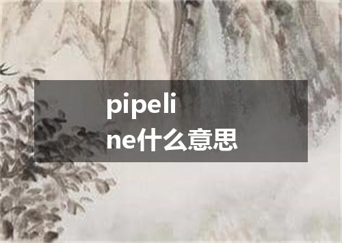 pipeline什么意思
