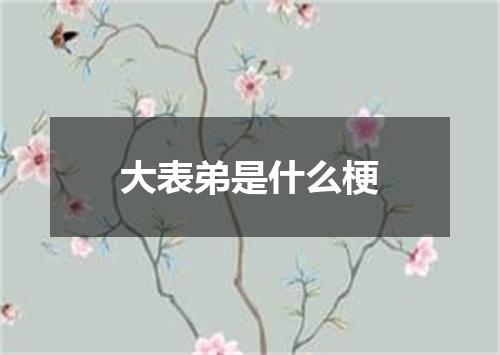 大表弟是什么梗