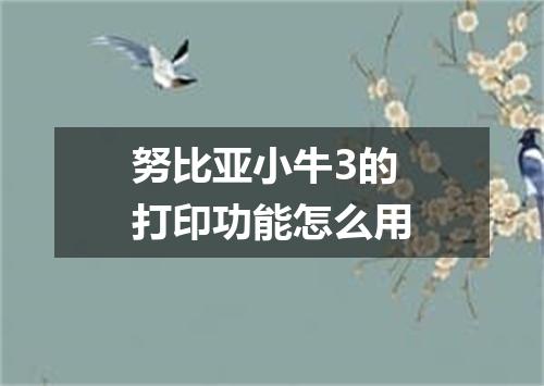 努比亚小牛3的打印功能怎么用