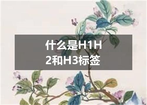 什么是H1H2和H3标签