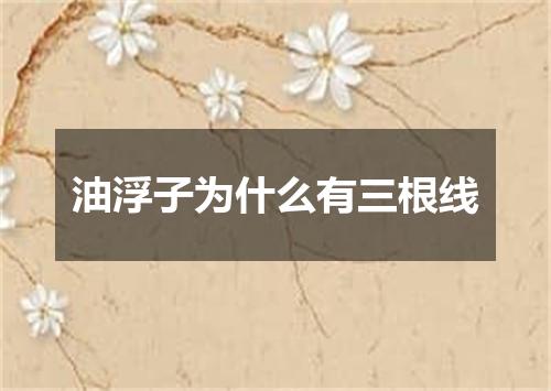 油浮子为什么有三根线