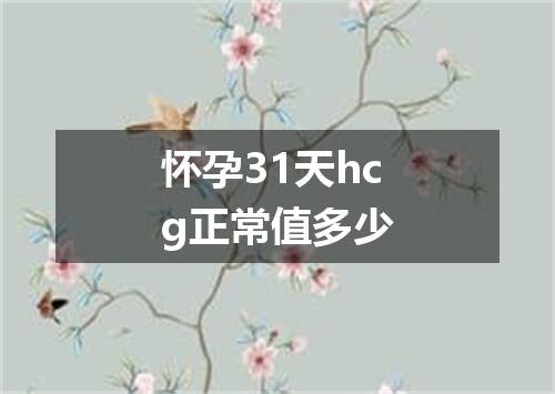 怀孕31天hcg正常值多少