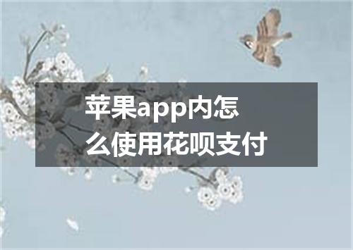 苹果app内怎么使用花呗支付