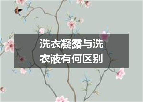洗衣凝露与洗衣液有何区别