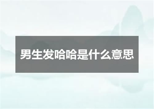 男生发哈哈是什么意思