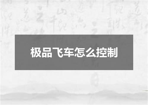 极品飞车怎么控制