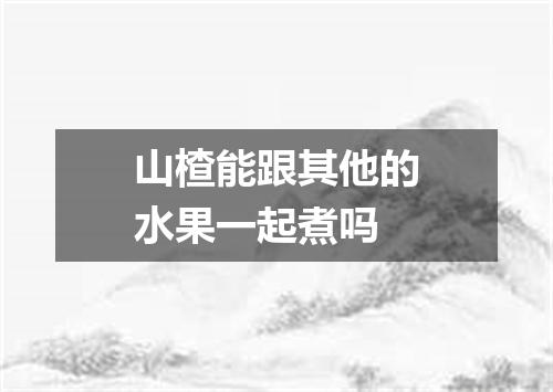 山楂能跟其他的水果一起煮吗