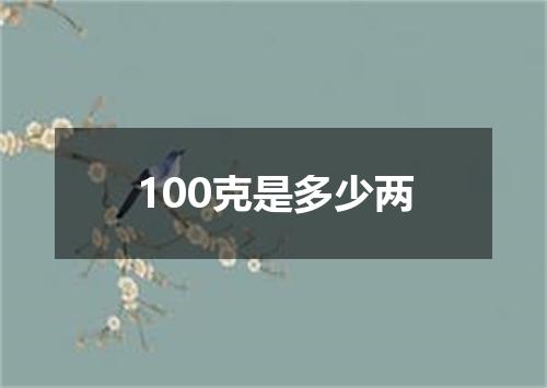 100克是多少两
