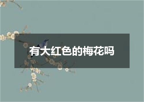 有大红色的梅花吗