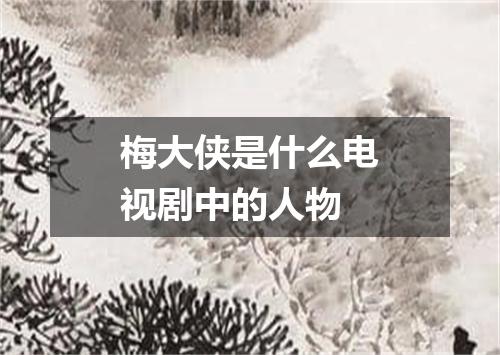 梅大侠是什么电视剧中的人物