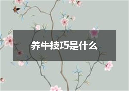 养牛技巧是什么