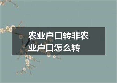 农业户口转非农业户口怎么转