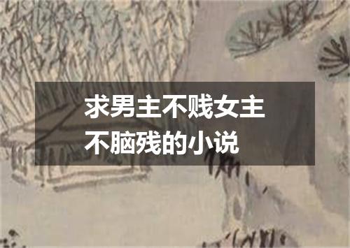 求男主不贱女主不脑残的小说