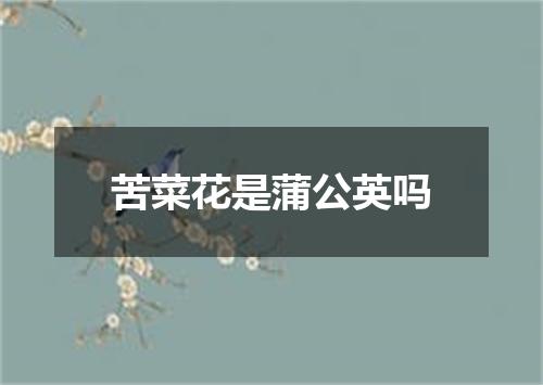苦菜花是蒲公英吗