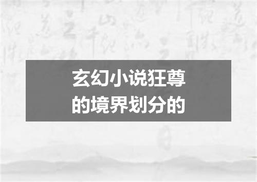 玄幻小说狂尊的境界划分的