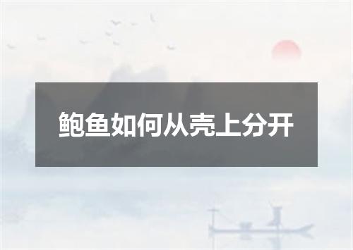 鲍鱼如何从壳上分开