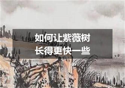 如何让紫薇树长得更快一些