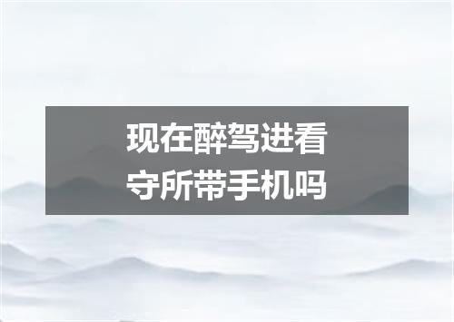 现在醉驾进看守所带手机吗