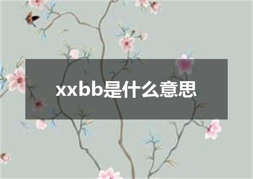 xxbb是什么意思