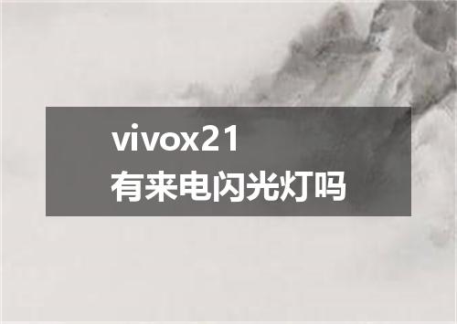 vivox21有来电闪光灯吗