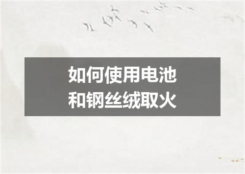 如何使用电池和钢丝绒取火