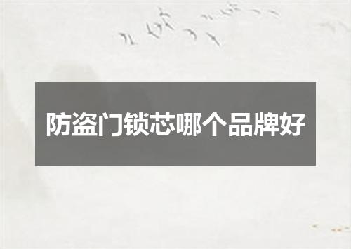 防盗门锁芯哪个品牌好