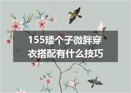 155矮个子微胖穿衣搭配有什么技巧