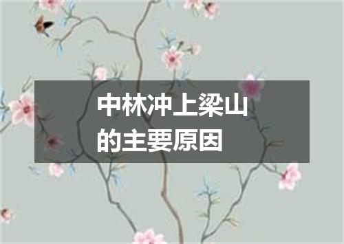中林冲上梁山的主要原因