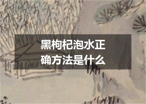 黑枸杞泡水正确方法是什么