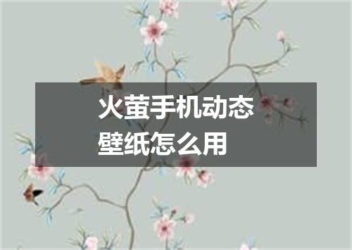 火萤手机动态壁纸怎么用