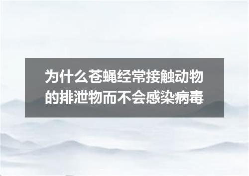 为什么苍蝇经常接触动物的排泄物而不会感染病毒