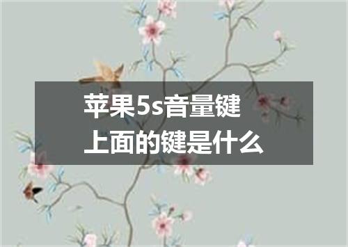 苹果5s音量键上面的键是什么