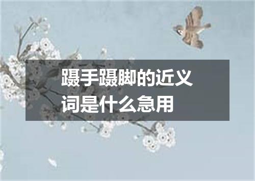 蹑手蹑脚的近义词是什么急用