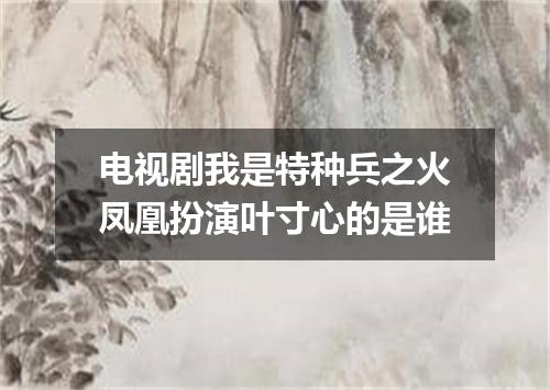 电视剧我是特种兵之火凤凰扮演叶寸心的是谁