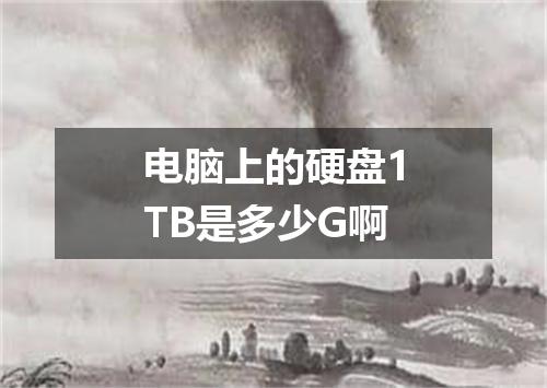 电脑上的硬盘1TB是多少G啊