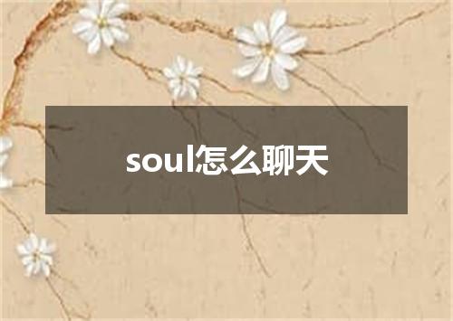 soul怎么聊天